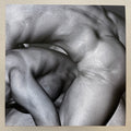 Mesh Goddess Bodies (grey) (giclée print)
