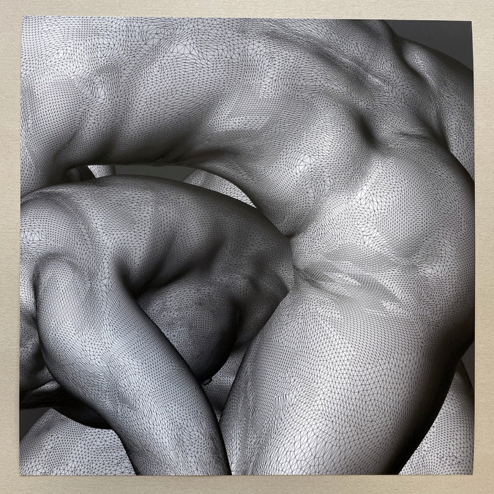 Mesh Goddess Bodies (grey) (giclée print)