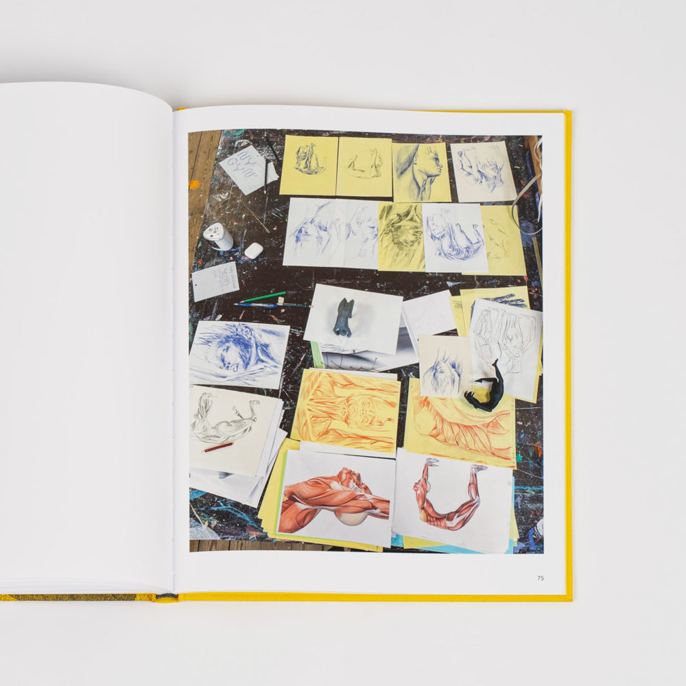 Stormens Ekko (book)