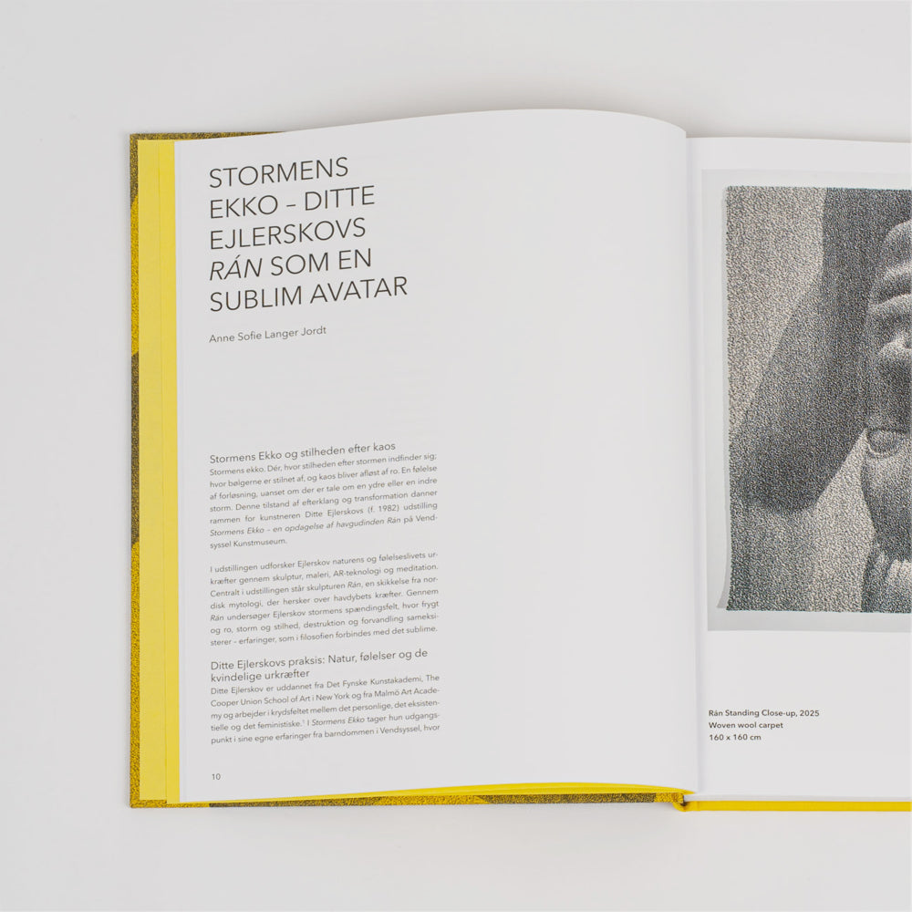 Stormens Ekko (book)
