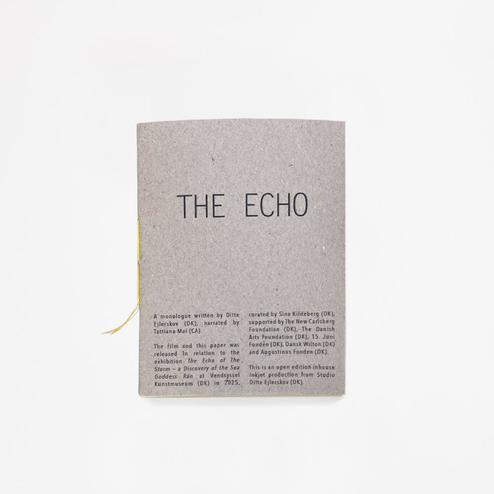 The Echo (book)
