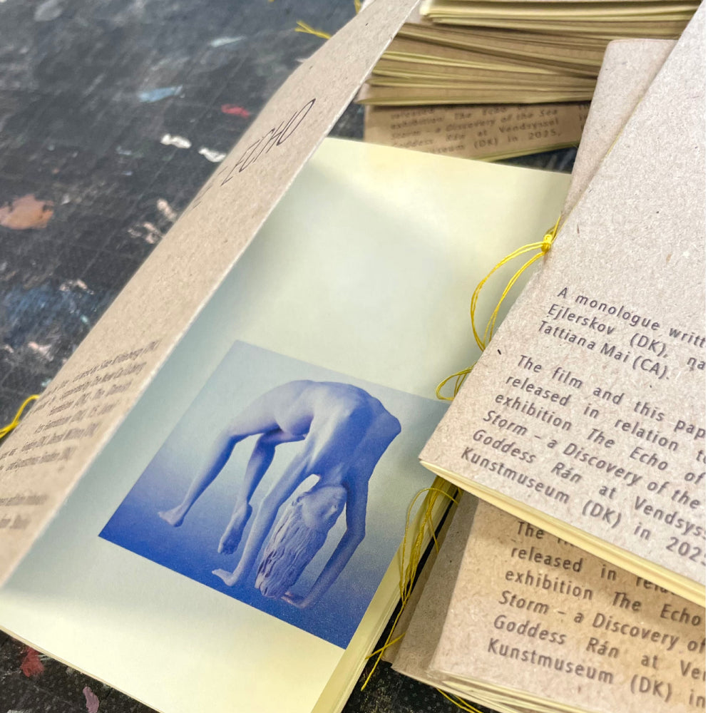 The Echo (book)