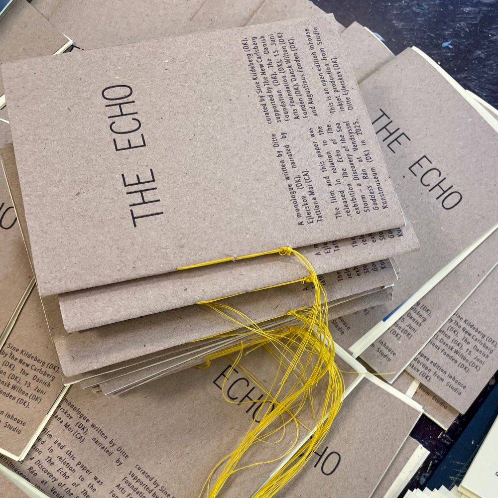 The Echo (book)