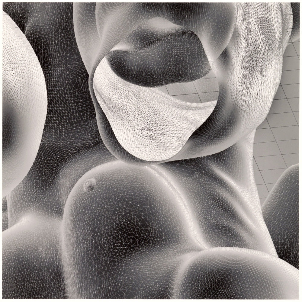 The Inside Body Scape (Intaglio Print)