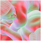 The Mesh Bodies (Rainbow) (Intaglio Print)
